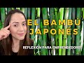 El Bambú Japonés | Reflexión para emprendedores