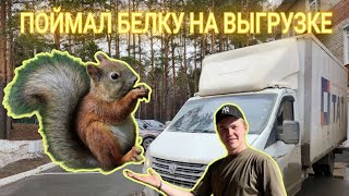 ПРОБЛЕМЫ С КИТАЙЦАМИ!!! ПОЙМАЛ "БЕЛКУ" НА ВЫГРУЗКЕ!!!