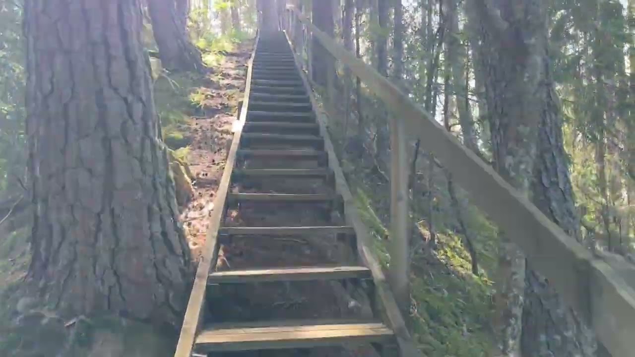 Vandring till Salunäbb. Österdalälvens meandring. Geologen Mange magister vandrar (bara)!