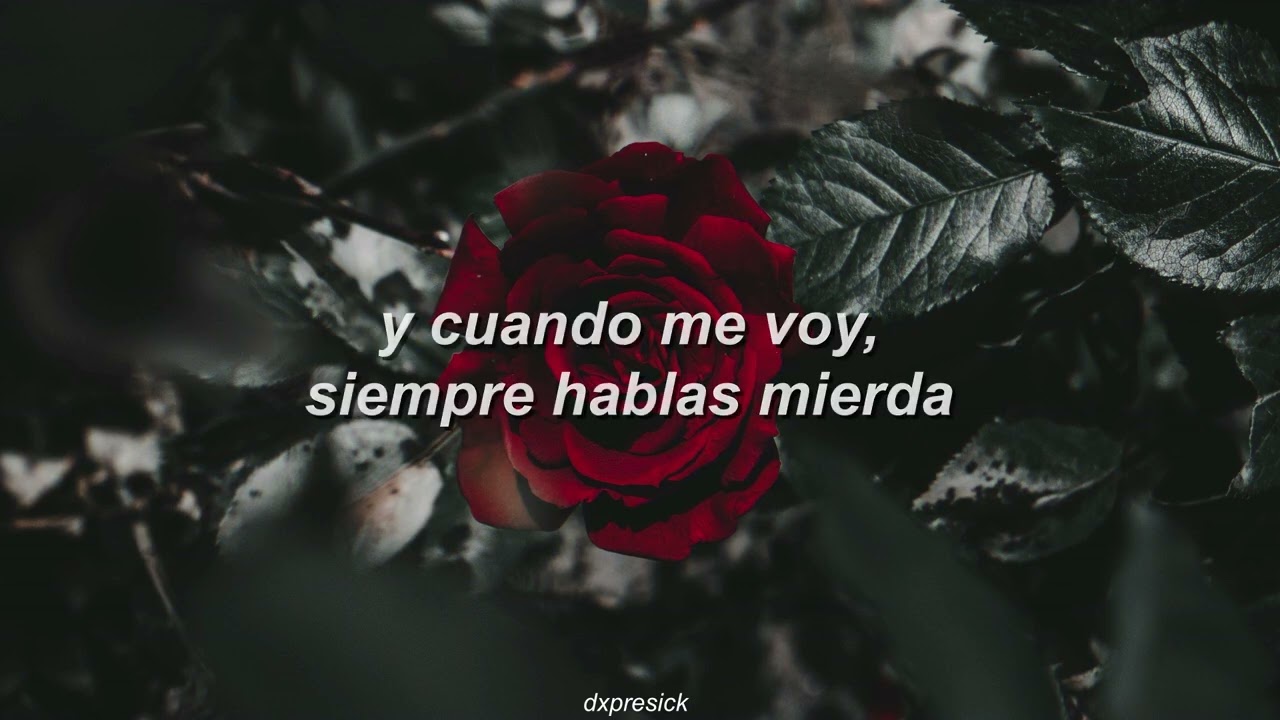 guccihighwaters roses (Sub. Español) YouTube