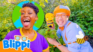 we love earth blippi songs educational songs kids