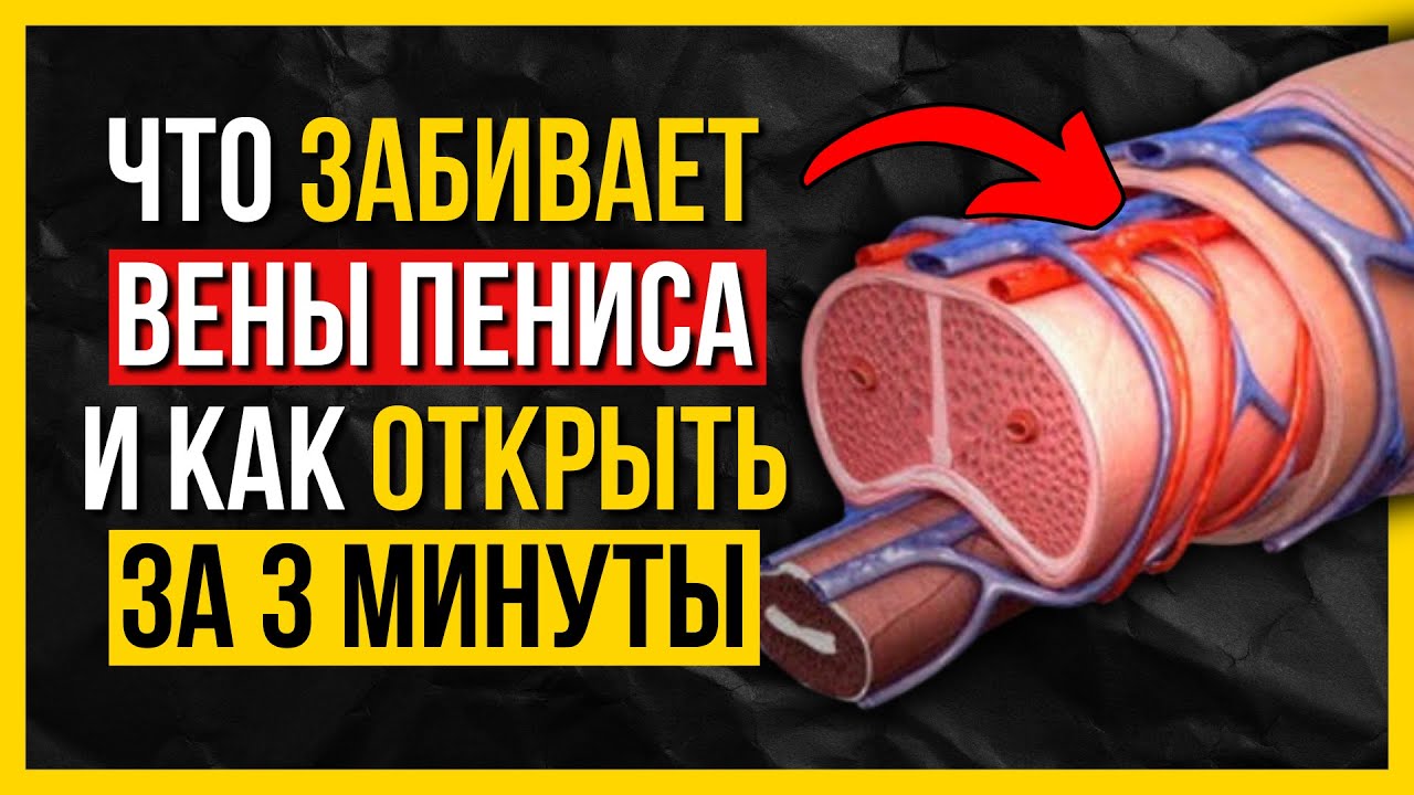 Что Делать Если Болит Член После Секса Что Делать Если Болит Член После Секса