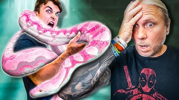 Can You Believe What Snake He Brought Me?