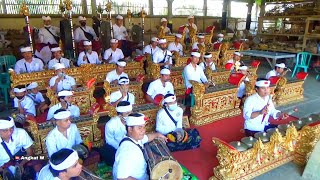 Tabuh Telu Buaya Mangap