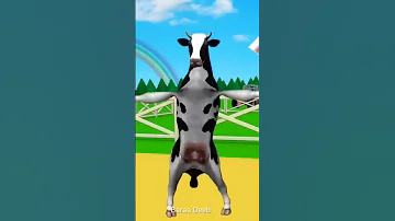 البقرة الراقصة البقره الحلوب Cow 