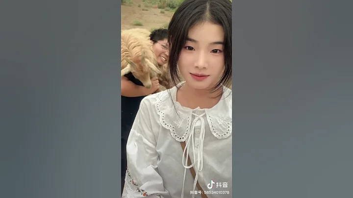 灰太狼的羊｜新疆噶羊女孩召唤来阿力木～这背景假吗？ - 天天要闻