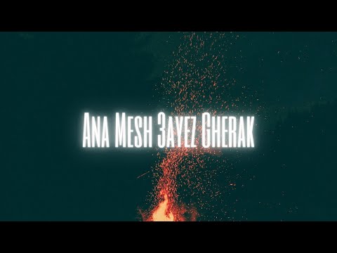   3     حسن الشافعي وامير عيد و بهاء سلطان
