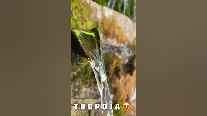 TROPOJE Gusht 2021