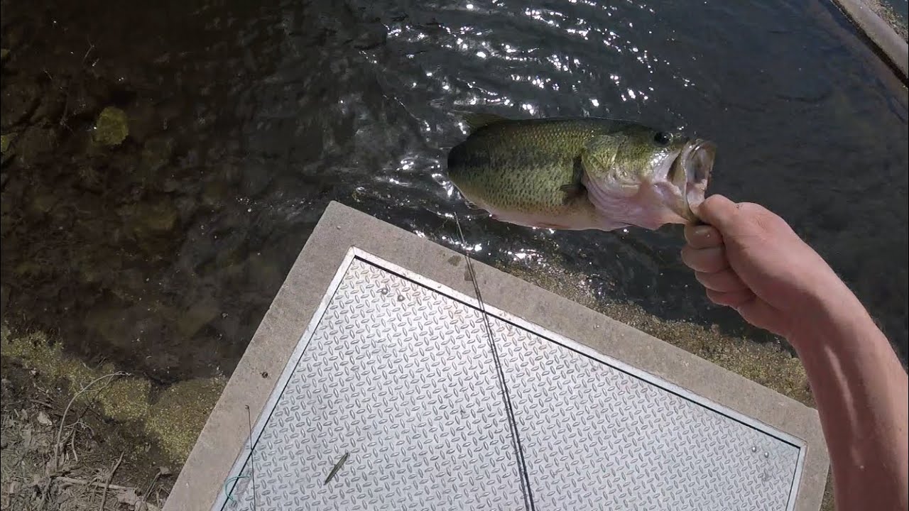 Bass Fishing, Gettysburg, PA YouTube