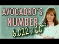 Understanding Counting Words and the Mole Concept