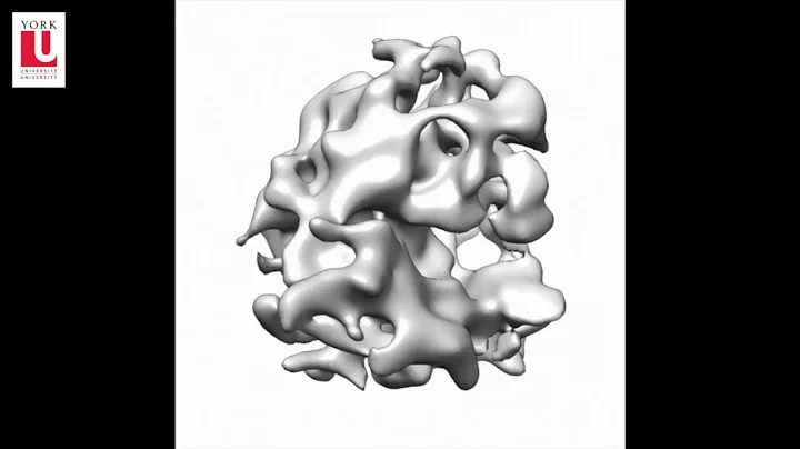 York U discovery may revolutionize new drug discoveries, disease research