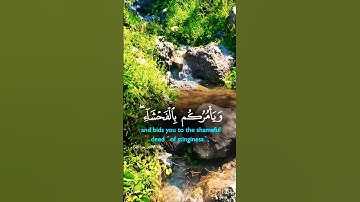 تلاوة خاشعة بصوت جميل ومؤثر يريح الأعصاب #تلاوة #elmulquranعلم #اكسبلور #المصحف #قران_كريم #trend