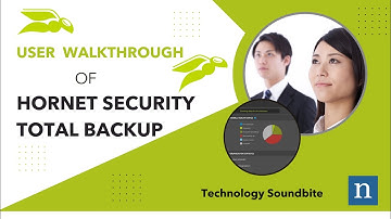 A Walkthrough of Hornet Security Total Backup