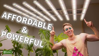 Floraflex Brand New 700w Led Grow Light ( Its Good )