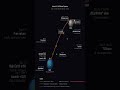Artemis II Breaks Apollo 13 Record! 🚀 Full Moon Flyby Path Explained