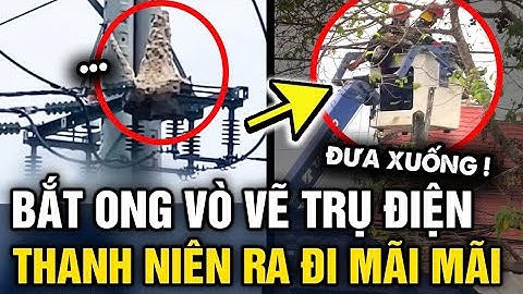 Leo trụ điện BẮT ONG VÒ VẼ, thanh niên gặp nạn rồi RA ĐI MÃI MÃI thương tâm | Tin 3 Phút