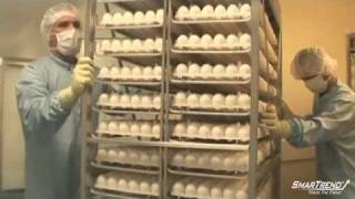 News Update: FDA Enacts New Food-Safety Rules for Tainted Eggs, Recall At Over 500 Million Eggs