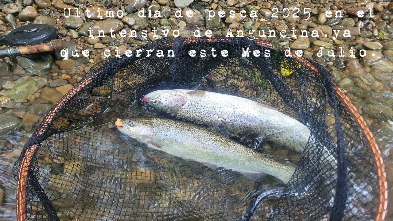 Ultima Jornada del 2025 en el coto de Anguciana.