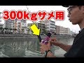 夏休み!家族で楽しむ系がいつのまにかサメ狙いに!?【沖縄釣り】【ロウニンアジ】【サメ】【ガクガク】【TJ】