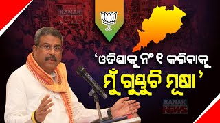 Dharmendra Pradhan's Insights on Sambalpur Election Strategy | How Many People Will Vote For BJP?