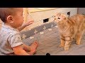 고양이와 아기집사와 친해지기 두번째이야기 Cat and Baby butler, Becoming Friends #2 [SURI&NOEL]