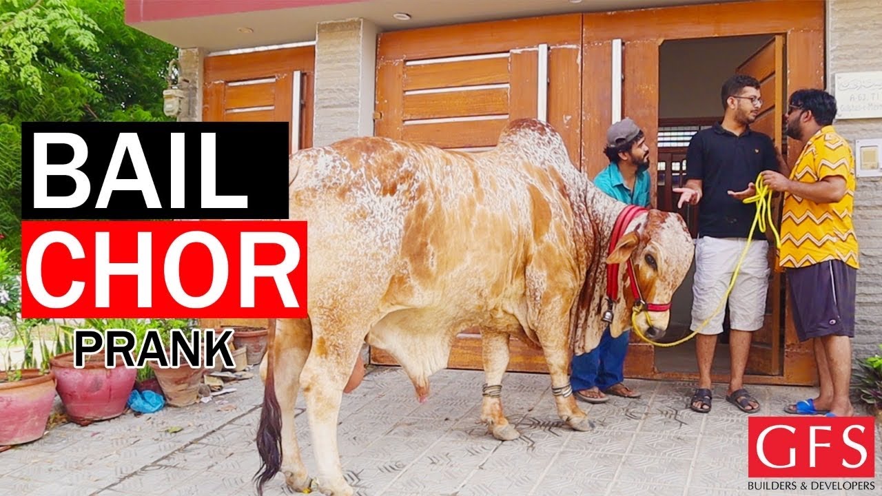 | Bail Chor Prank | By Nadir Ali & Ahmed Khan in | P 4 Pakao | 2020