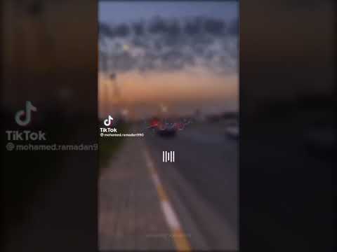 الدنيا دي سلف ودين