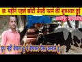 छः महीने पहले शुरू हुई छोटे फार्म में कितना खर्च कितना मुनाफा ll Rai dairy farm Ghazipur UP ll