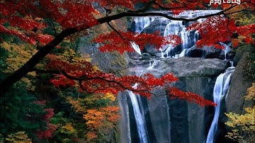 108سورة الكوثر بصوت القارئ سعد الغامدي