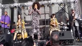 Prince tribute Kiss Marva King NPG