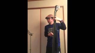 All About That Bass - Hallstatt WBSE-850