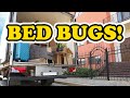 How to Treat a U-Haul for Bed Bugs