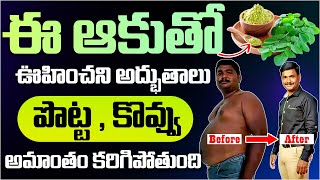 Miracle Leaf That Melts Stomach Fat: Moringa’s Secret Revealed! Dr PS Sagar