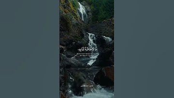 احترم القرآن الكريم 🤍🤍 #quran #القرآن_الكريم