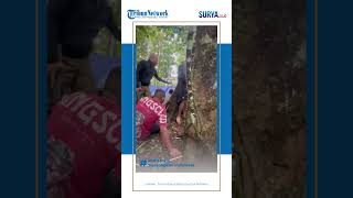 Terekam Kontak Tembak Brutal Kkb Vs Aparat Ketua Komnas Ham Papua Jadi Target