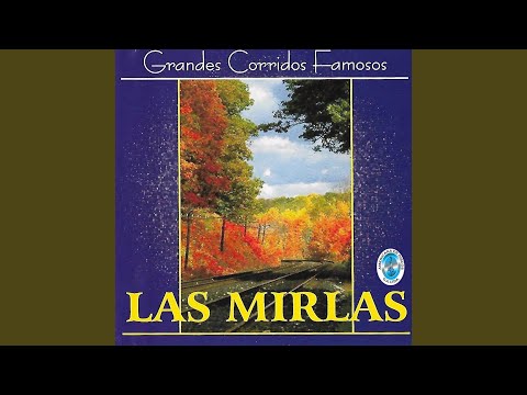Como el Palo Blanco