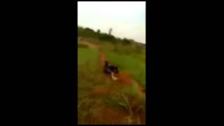 ofa di grand canyon jalur jatiasih