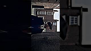 Capcut Cc Check Free Twixtor