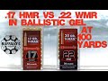 V-MAX BALLISTIC GEL TEST ~ .22 WMR vs .17 HMR