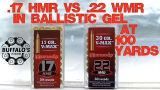 VMAX BALLISTIC GEL TEST ~ .22 WMR vs .17 HMR