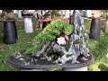 KHU TRƯNG BÀY TIỂU CẢNH & BONSAI TRONG HỘI HOA XUÂN TAO ĐÀN QUÝ TỴ 2013