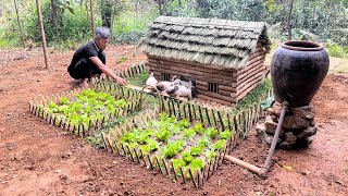 Rescue puppies abandoned in wells, build warm wooden houses for dogs and take care of them