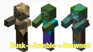 ALL Mob Transformation In Minecraft 😱🤯