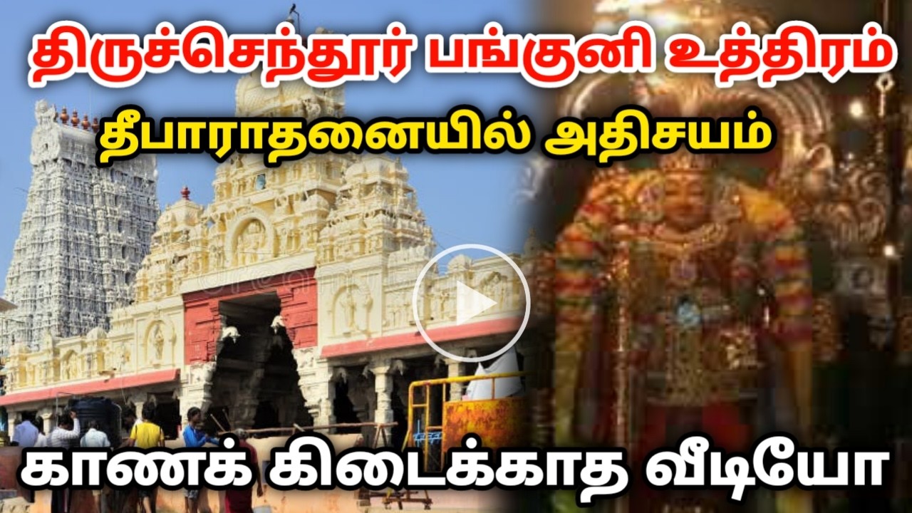 திருச்செந்தூர் பங்குனி உத்திரம் ! தீபாராதனையில் அதிசயம்.! காணக் கிடைக்காத வீடியோ Tiruchendur Temple
