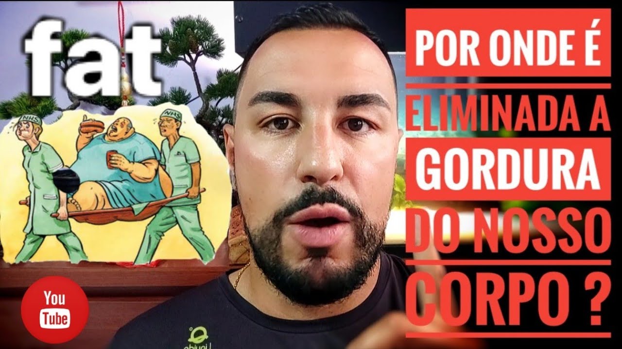Por Onde é Eliminada a Gordura Do nosso Corpo ? - YouTube