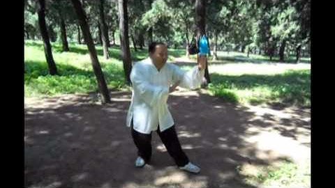 Liang BaGuaZhang Fixed 8 Palms Breakdown: 8th Palm