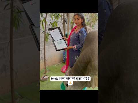 Sab bhagwan ki kirpa hai 🙏#puppies #shortvideos #streetdog