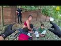 Cops Find 6yo Eating Bug-Infested Food While Mom Sleeps in Bushes
