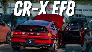 Clean Honda CR-X EF8