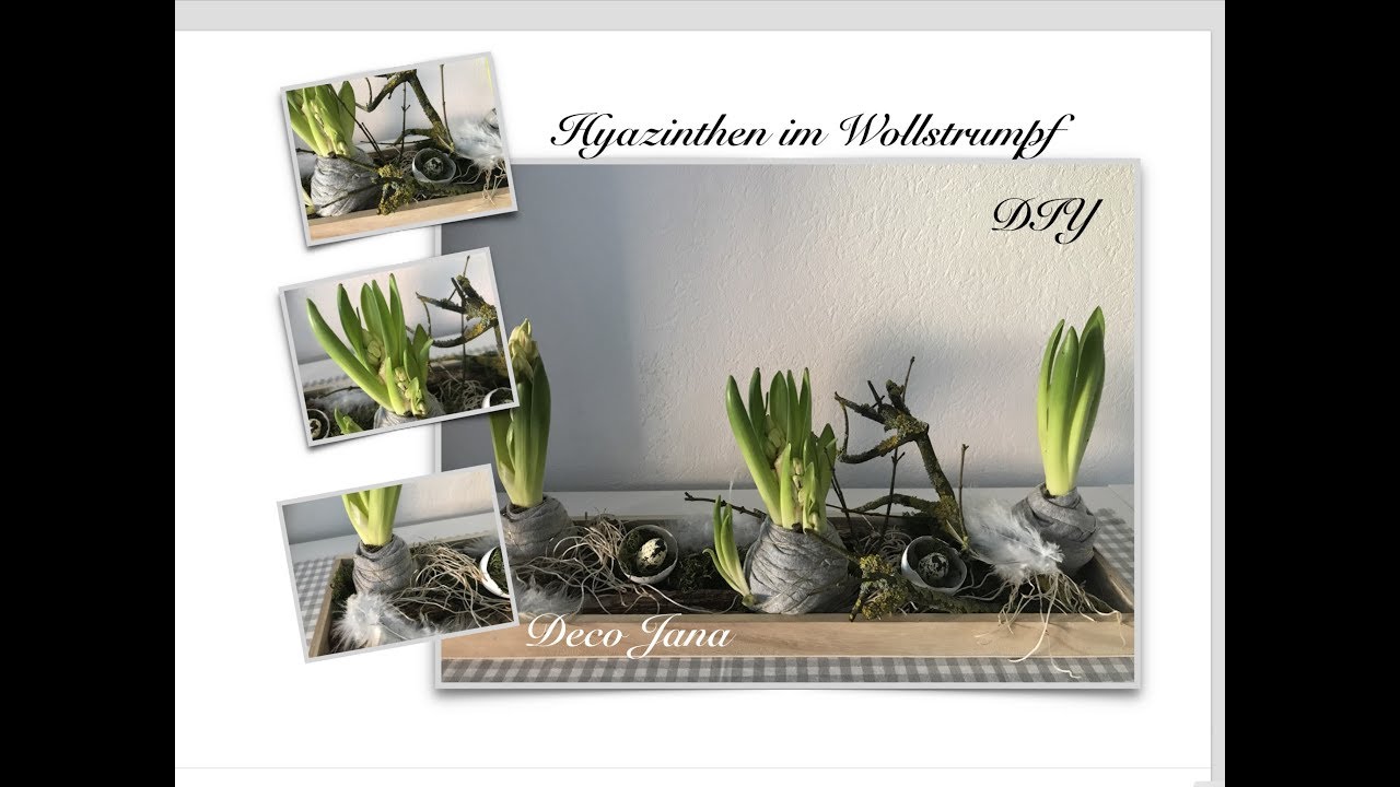 DIY: Frühlingsdeko Osterdeko mit Hyazinthen in Wolle gebettet / Deko Jana